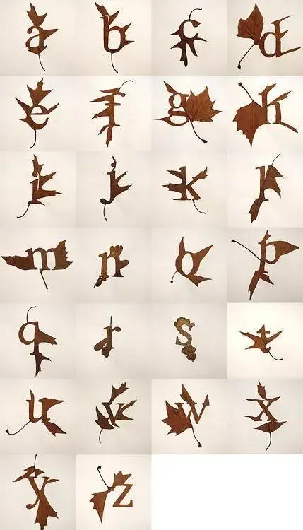 Alphabet leaves