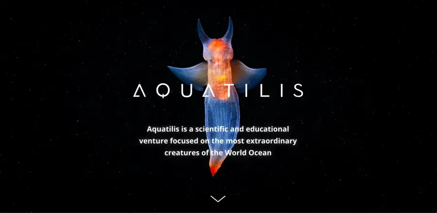Aquatilis