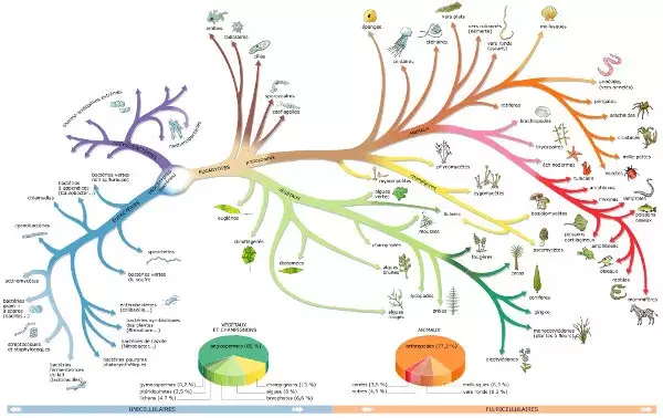 Algorithme genetique evolution especes darwin