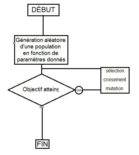 Les algorithmes génétiques: une solution d’avenir ?