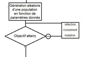 Les algorithmes génétiques: une solution d’avenir ?