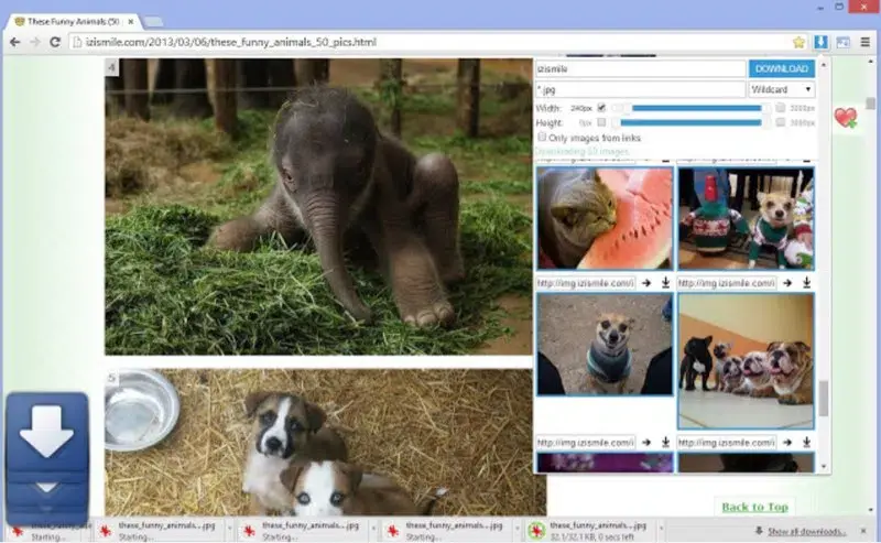 Image Downloader