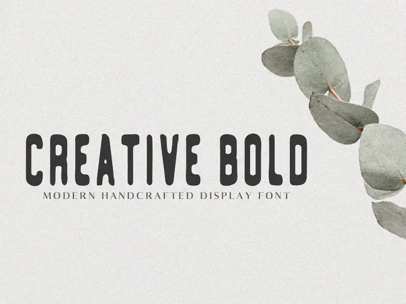 Bdw creative bold 2 weights faraz ahmad