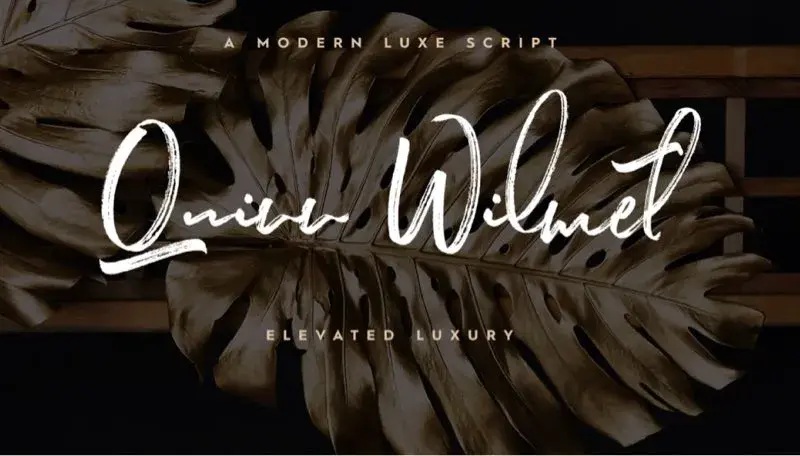 Bdw free font avril 2019 11