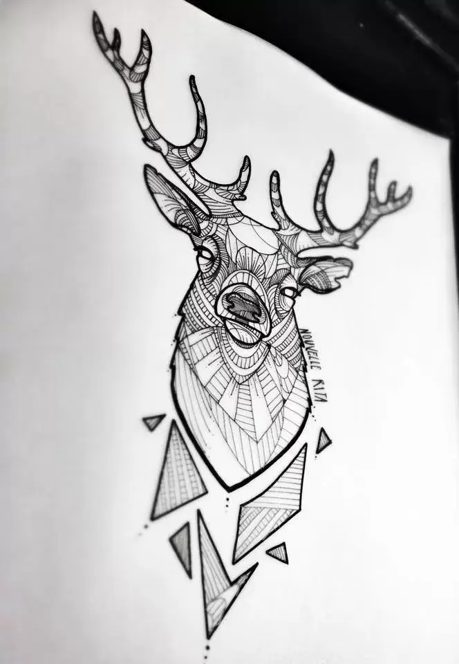 Bdw illustration animal cerf