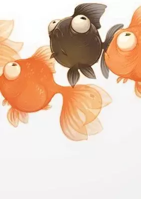Bdw illustration animal goldfish chhuy ing