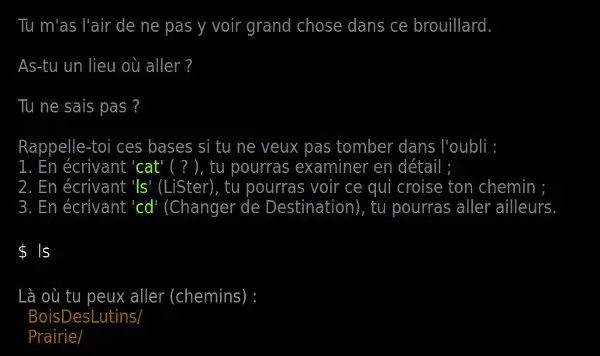 Jeu web terminus interface
