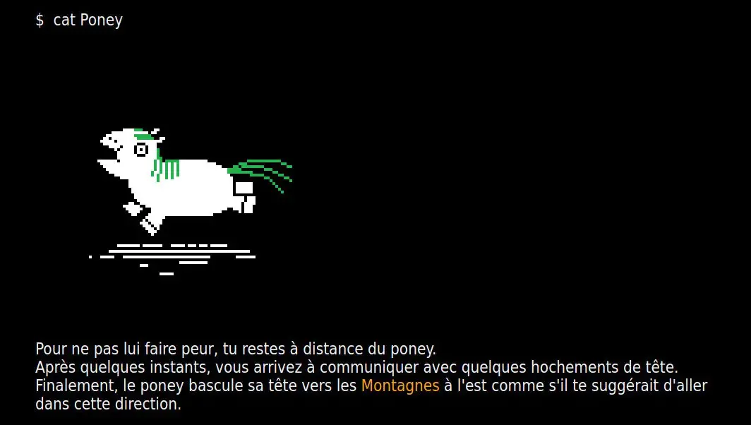 Jeu web terminus poney