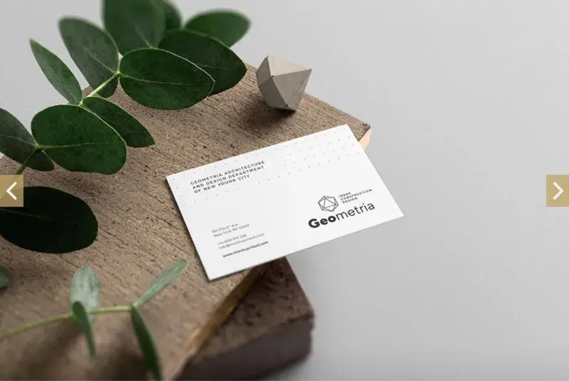 Mockup carte de visite avec branche végétale