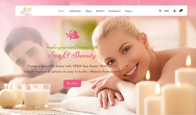 Bdw theme shopify Axii