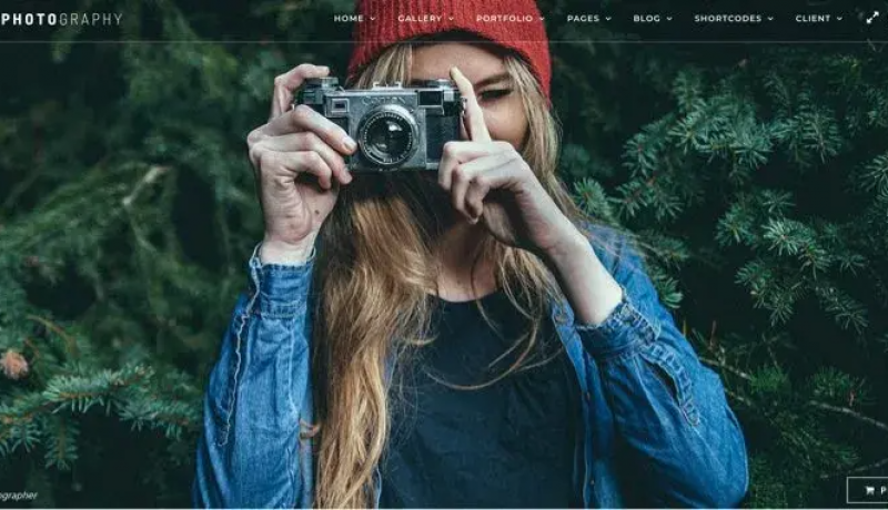 Bdw theme wordpress photographe