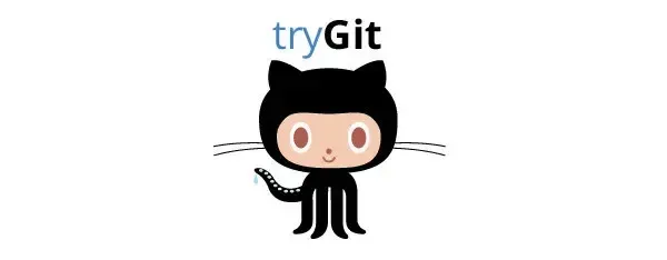 Bdw try git github
