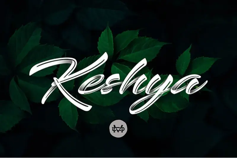 Bdw typographie gratuite novembr 5