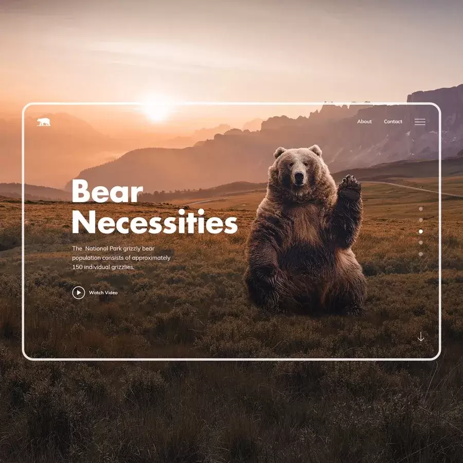 Bear necessities