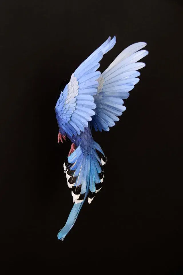 Birds Paper Sculptures – Fubiz Media