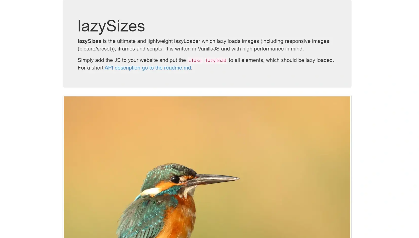 Blogduwebdesign bibliotheque manipulation images javascript lazysizes