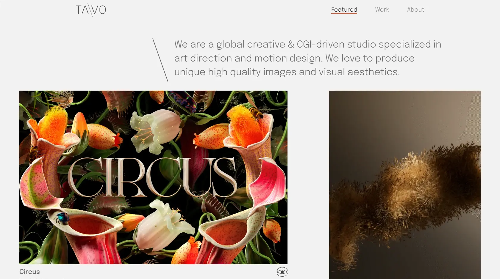 Site motion design tavo