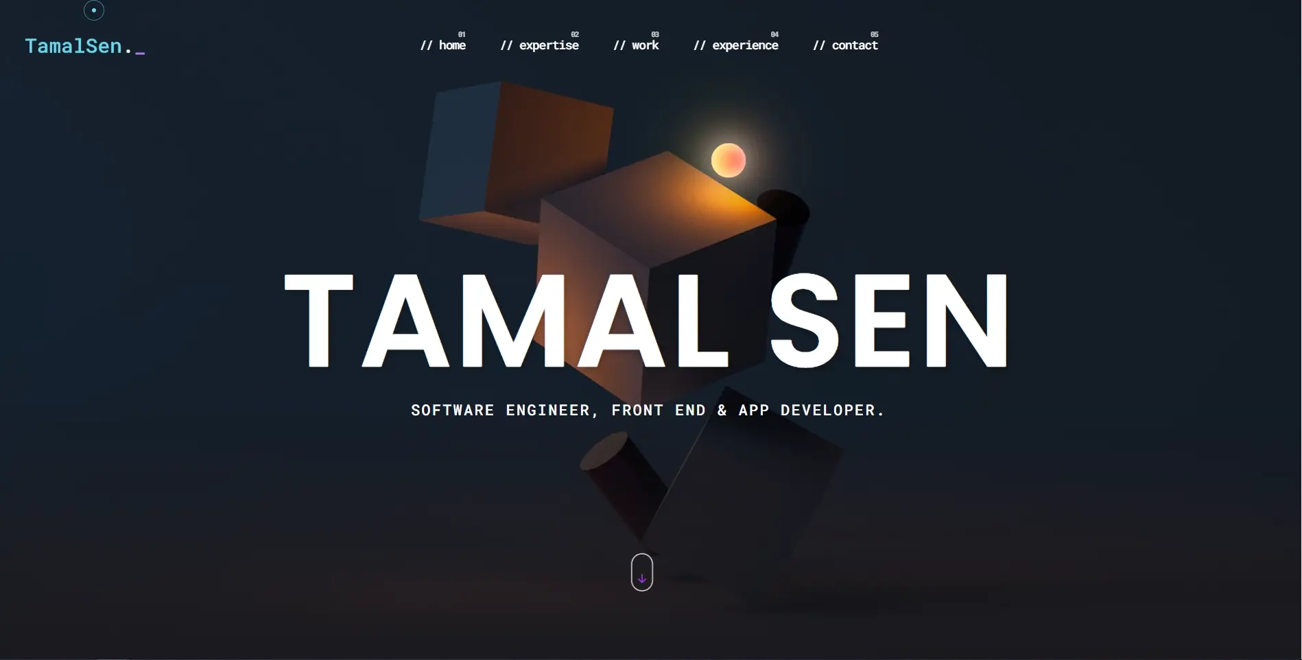 Portfolio développeur web tamal sen