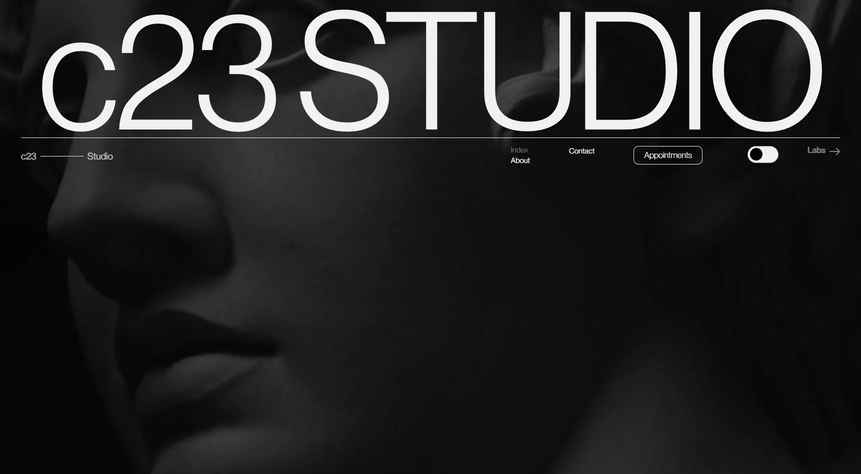 Blogduwebdesign inspiration web contraste noir blanc c23