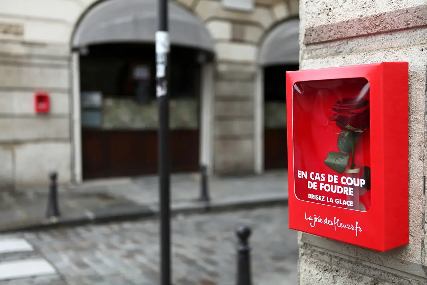 Campagne publicité Saint Valentin la joie des fleurs