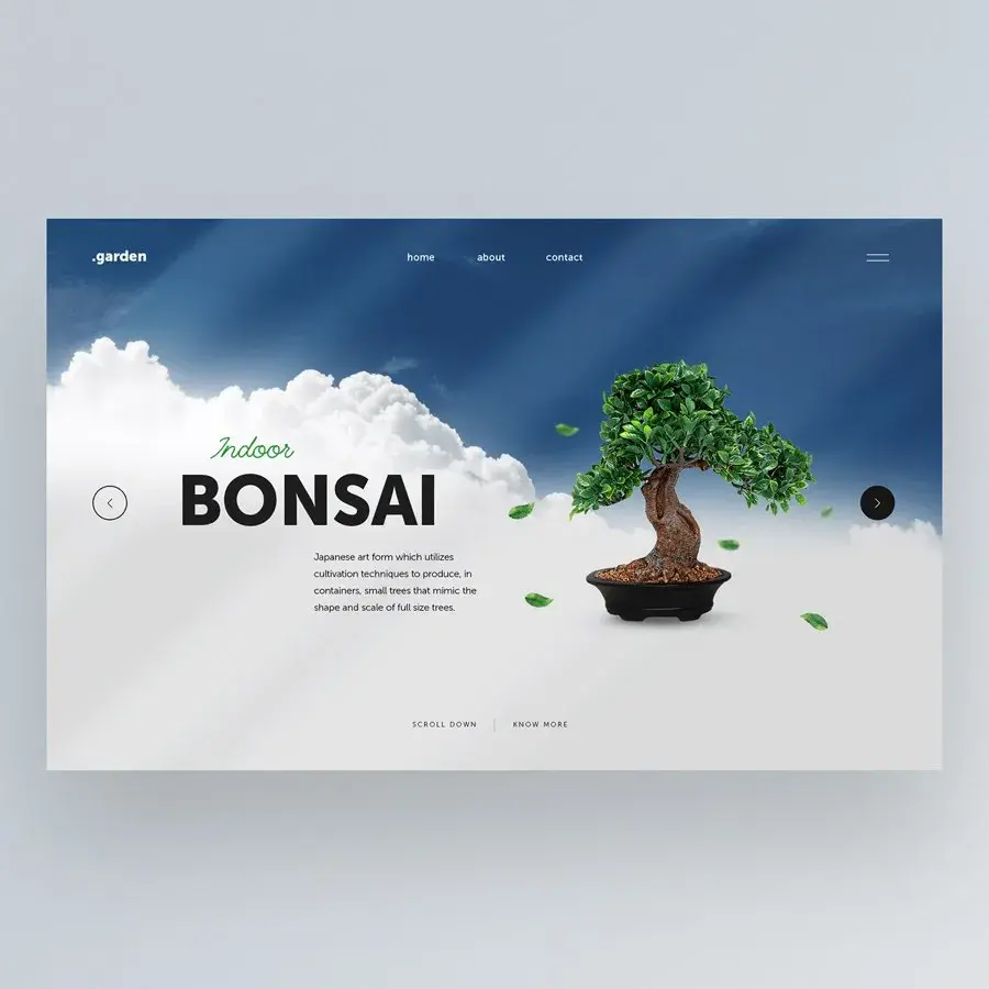 Bonsai