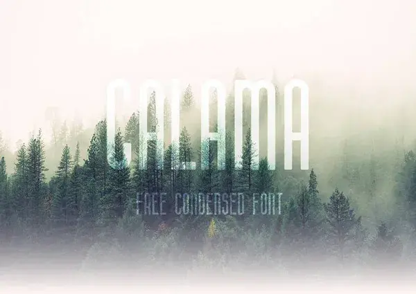 Calama free condensed