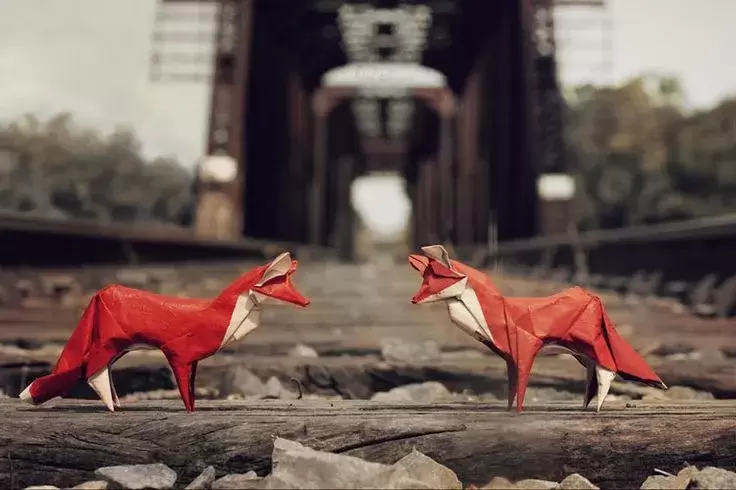 Des animaux en origami placés dans la nature par FoldedWilderness