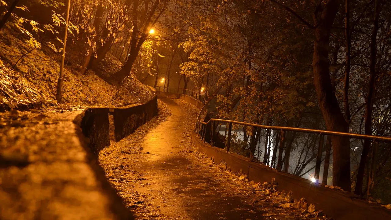 Fond d’écran automne PC : promenade à la tombée de la nuit