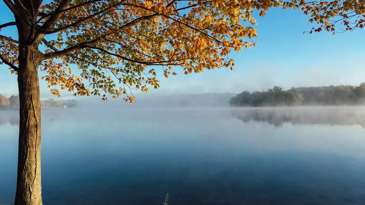 Fond d’écran automne PC : lac dans la brume du matin