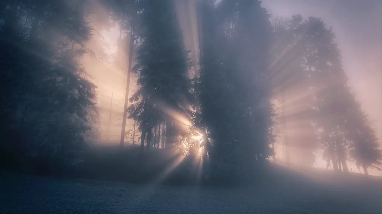 Fond d’écran Halloween PC : rayons dans la brume