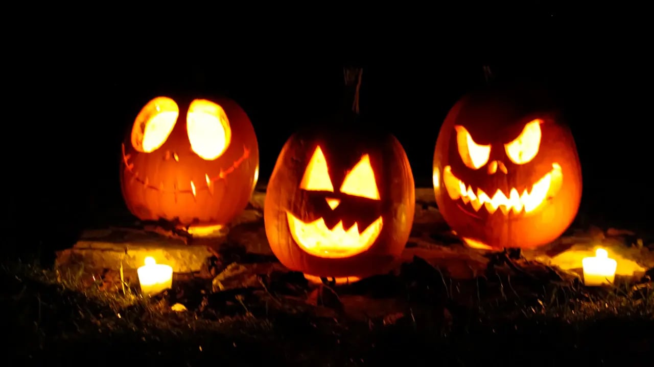 Fond d’écran Halloween PC : trio de citrouilles sculptées