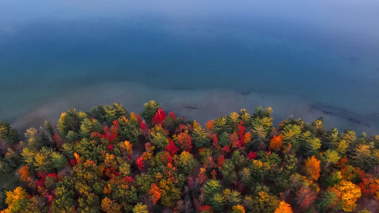 Fond d’écran automne PC : lisière au bord du lac