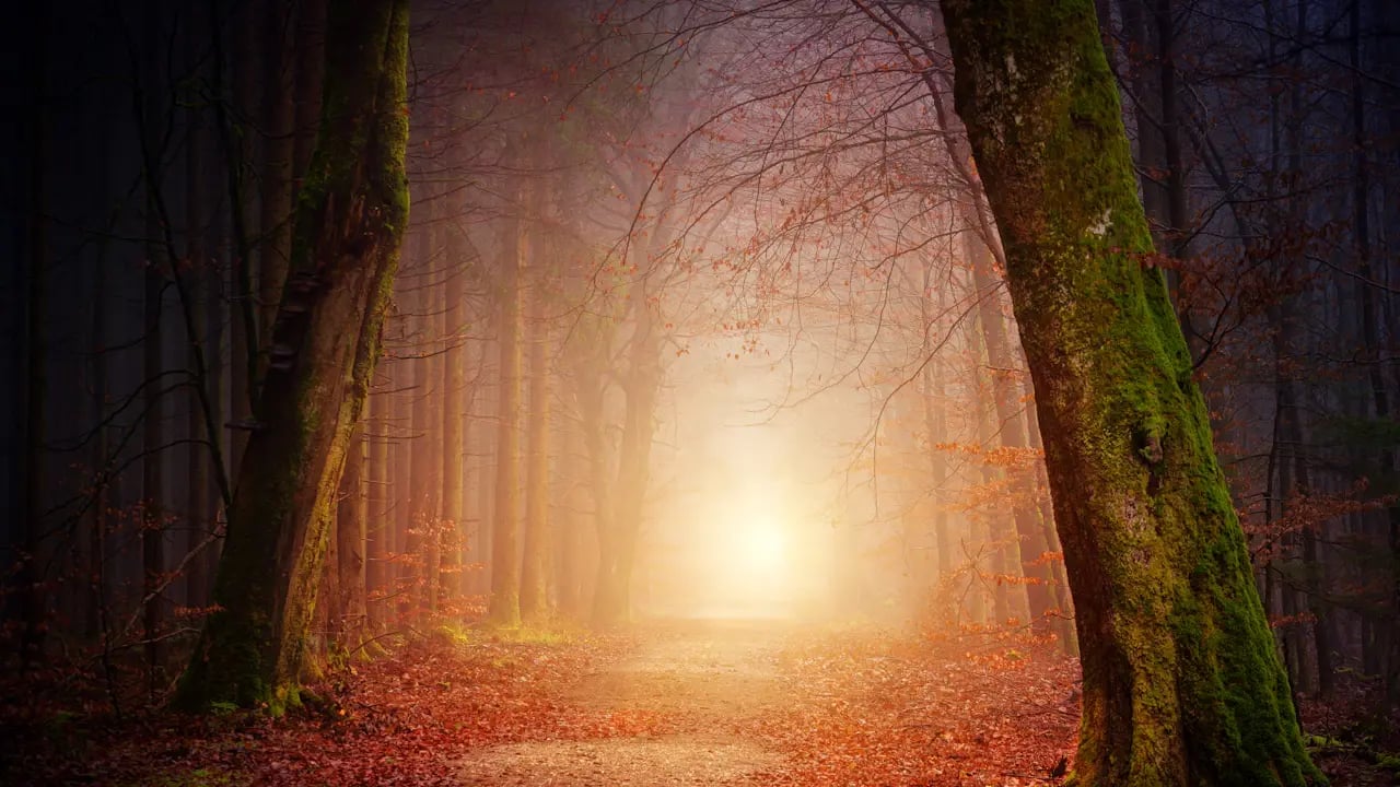 Fond d’écran Halloween PC : lumière au bout du chemin