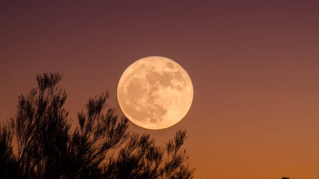 Fond d’écran Halloween PC : lune rousse au crépuscule