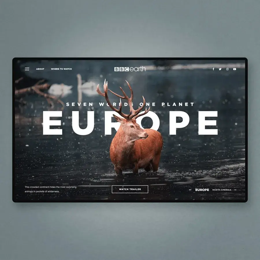 Europe cerf