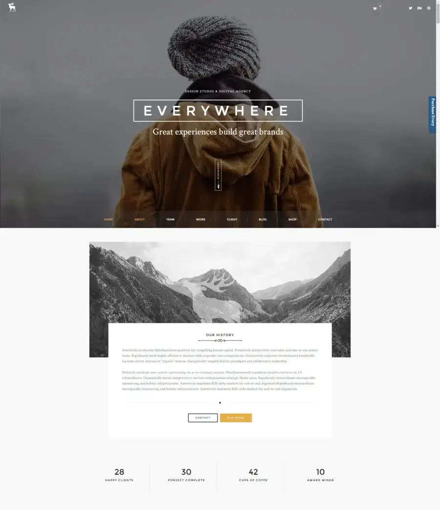 Every pro create one page portfolio theme