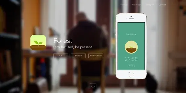 Forest