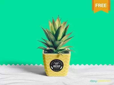 Free flower pot mockup