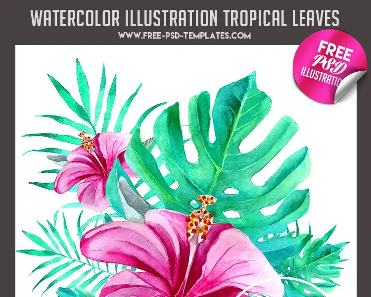 Free watercolor tropical leaves en PSD