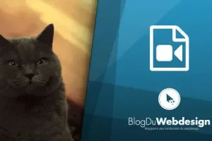Les joies du web designer en gif !