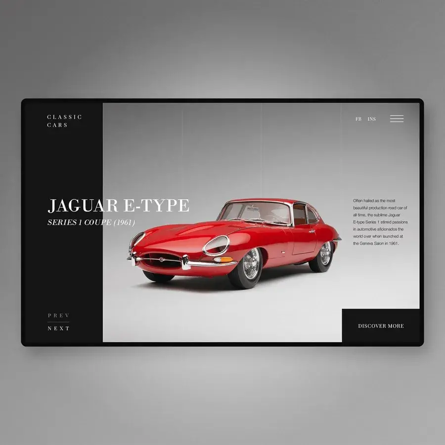 Jaguar etype