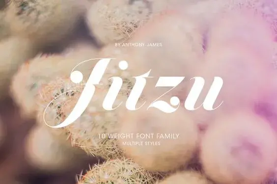 Jitzu family
