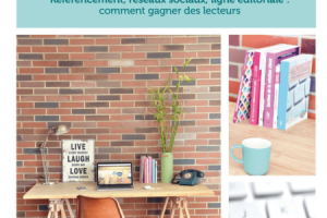 Livre : Augmenter le trafic de son blog par Florence Tran