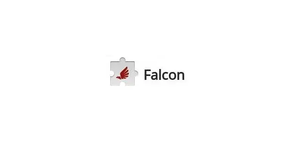 Logo falcon