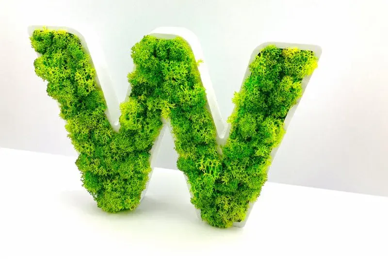 Logo vegetal lettershop