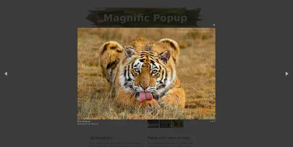 Magnific popup