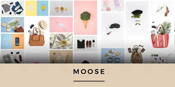 Moose cover pack photo