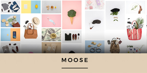 Moose illustration