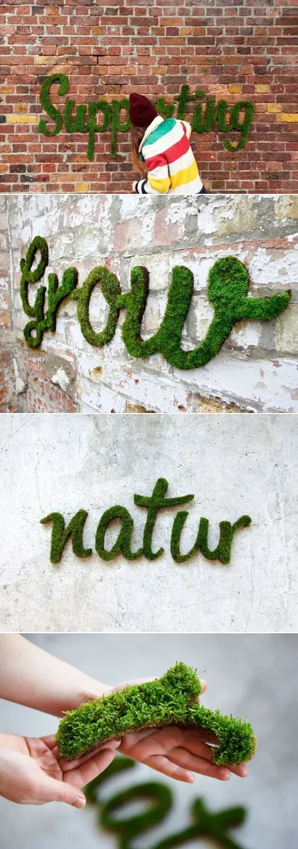 Moss graffiti grows