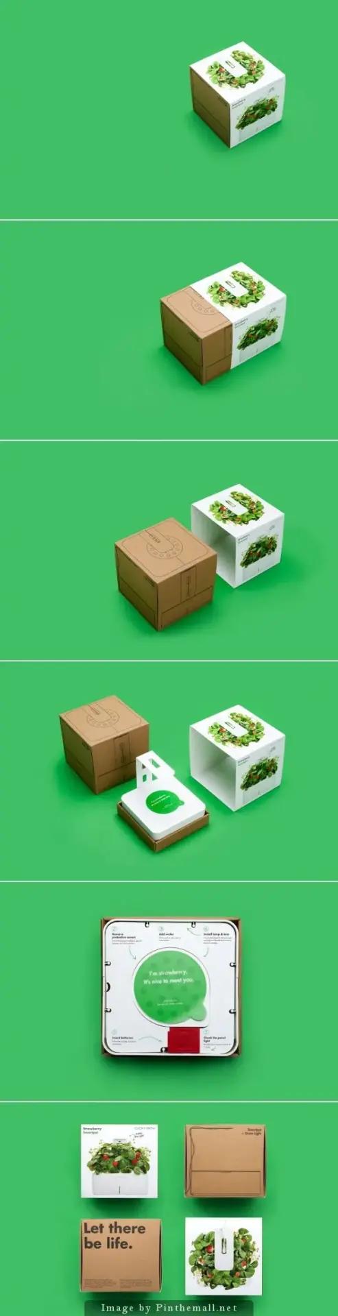 Packaging design20